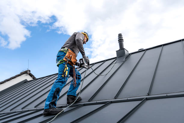 Best 4 Ply Roofing  in Mattawan, MI